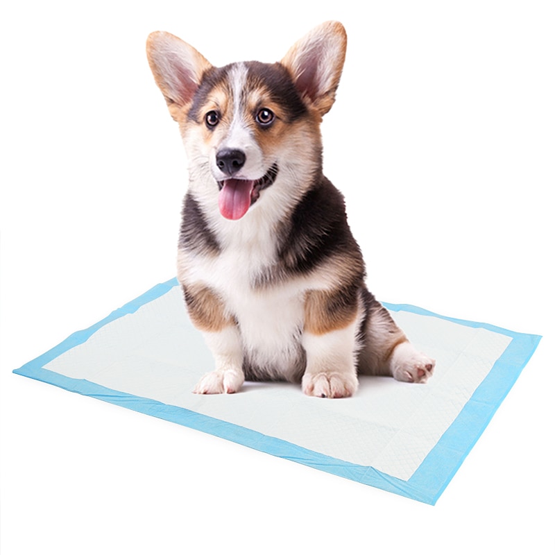 Tapete Hgiênico Pet fralda super Absorvente para animais de estimação treinamento do cão almofadas de xixi urina descartável 