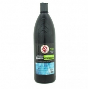 Shampoo Refrescante Hidratante Mentolado para Cavalo 3X1 1Litro -  Brene Horse