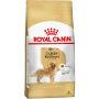 Ração Royal Canin Golden Retriever - Cães Adultos - 12 kg