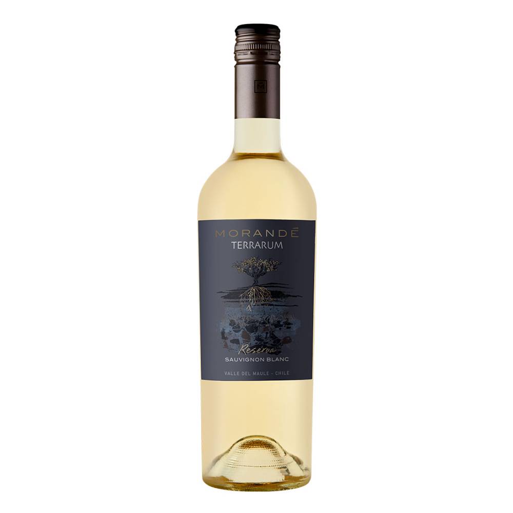 Vinho Chileno Branco Morandé Terrarum Reserva Sauvignon Blanc 2021 Garrafa 750ml