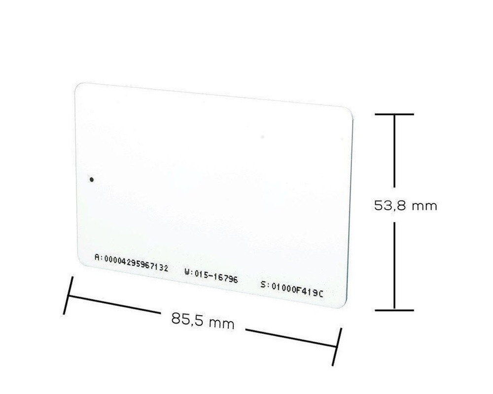 Cartão RFID NEO-ISO ABA TK2 125 KHz - 100 unidades