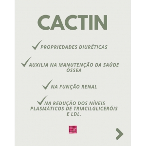 Cactin 500mg 90 cápsulas Autentico Galena