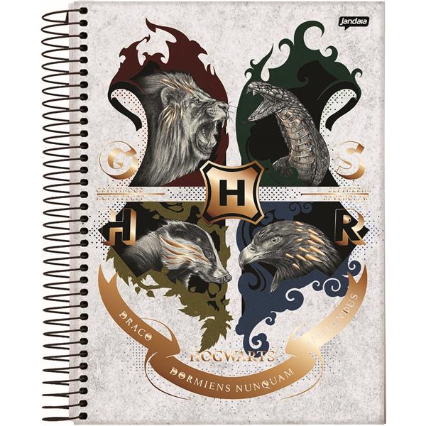 Caderno Jandaia 10X1 college Harry Potter G S H R 160 folhas
