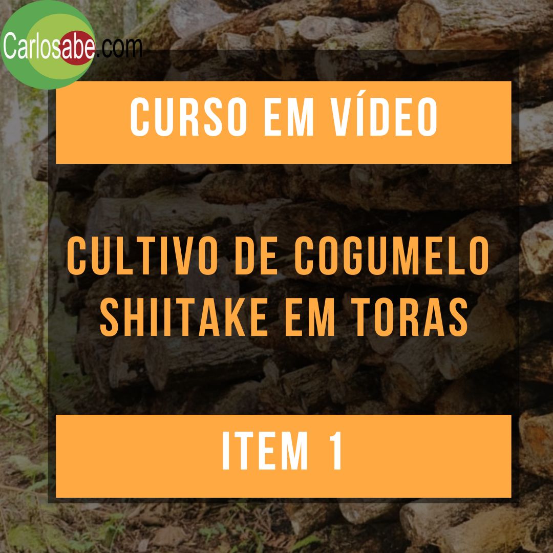 101	Curso em Vídeo - Cultivo de Cogumelo Shiitake em Toras