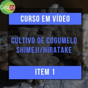301	Curso em Vídeo Cultivo de Cogumelo Shimeji/Hiratake
