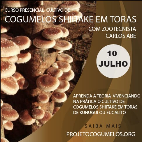 Curso 6 - 10/07 - Cultivo de Cogumelo Shiitake em Toras