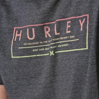 Camiseta Hurley Established