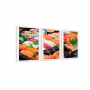 Kit 3 Quadros Comida Sushi 02