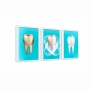 Kit 3 Quadros Consultorio Odontologico Dentes 01
