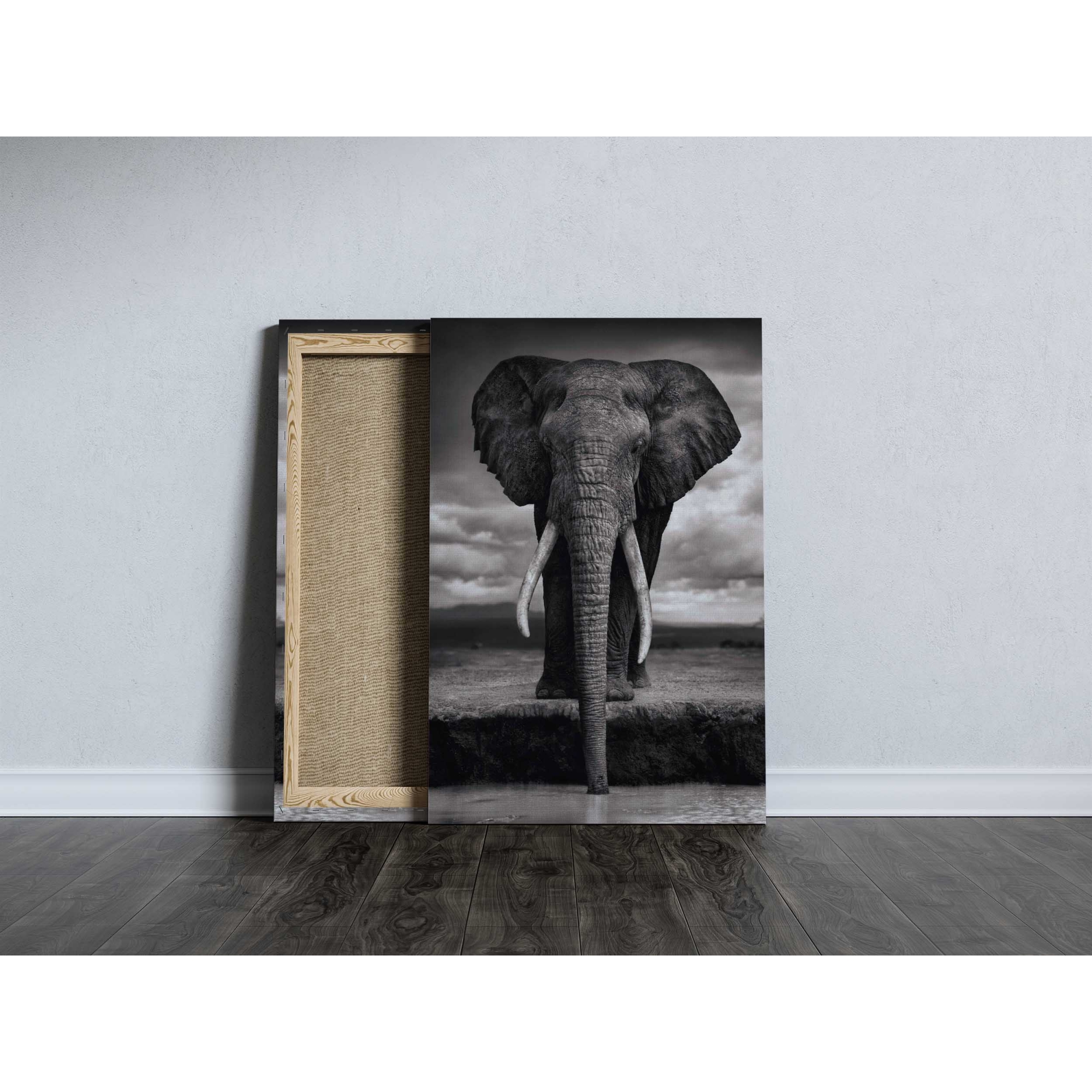 Quadro Canvas Selva Animal elefante