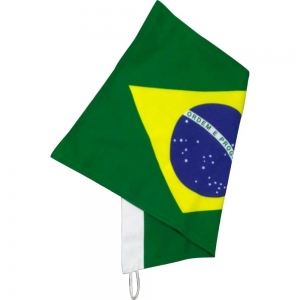 Bandeira Do Brasil Oficial 24 x 42 Estampada Frente Verso