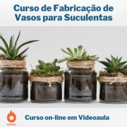 Curso on-line em videoaula de Fabricação de Vasos para Suculentas
