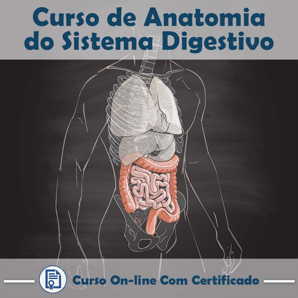 Curso Online de Anatomia do Sistema Digestivo com Certificado