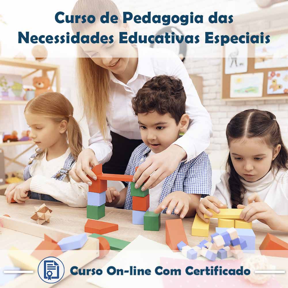 Curso Online de Pedagogia das Necessidades Educativas Especiais com Certificado