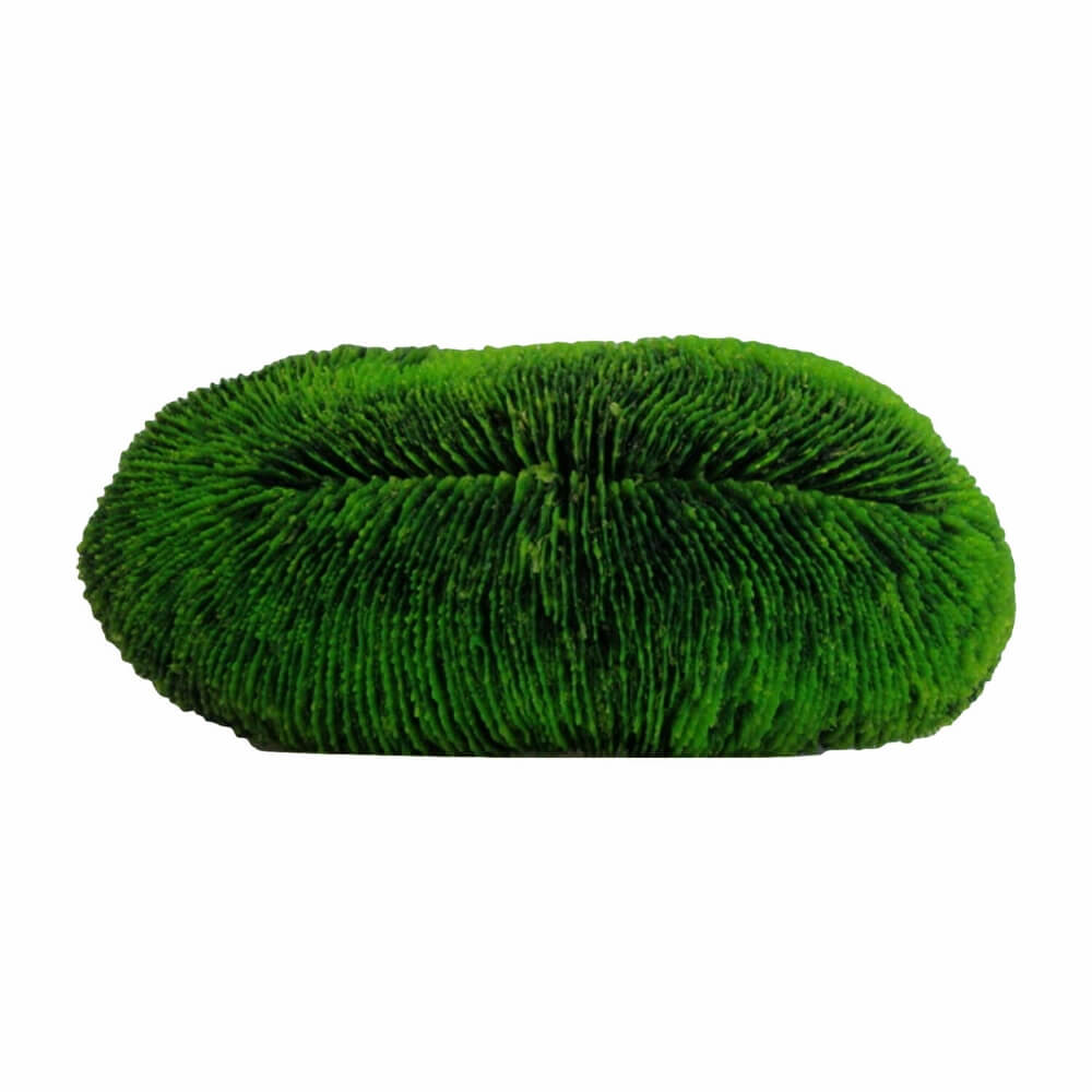 Enfeite de Silicone Soma Coral Tongue 24x10,5x8cm Verde