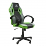 Cadeira Gamer Hoopson Preta e Verde - HP-CG504 - Foto 1