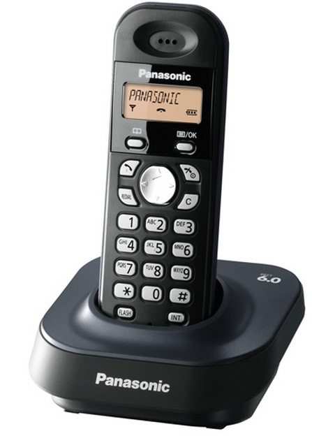 Telefone s/ Fio com Identificador de Chamadas KX-TG1381LB - Panasonic