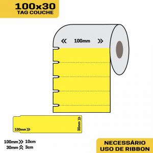 6 Rolos de Etiqueta Tag 100x30 Amarela de Gôndola - Couche S/ Adesivo
