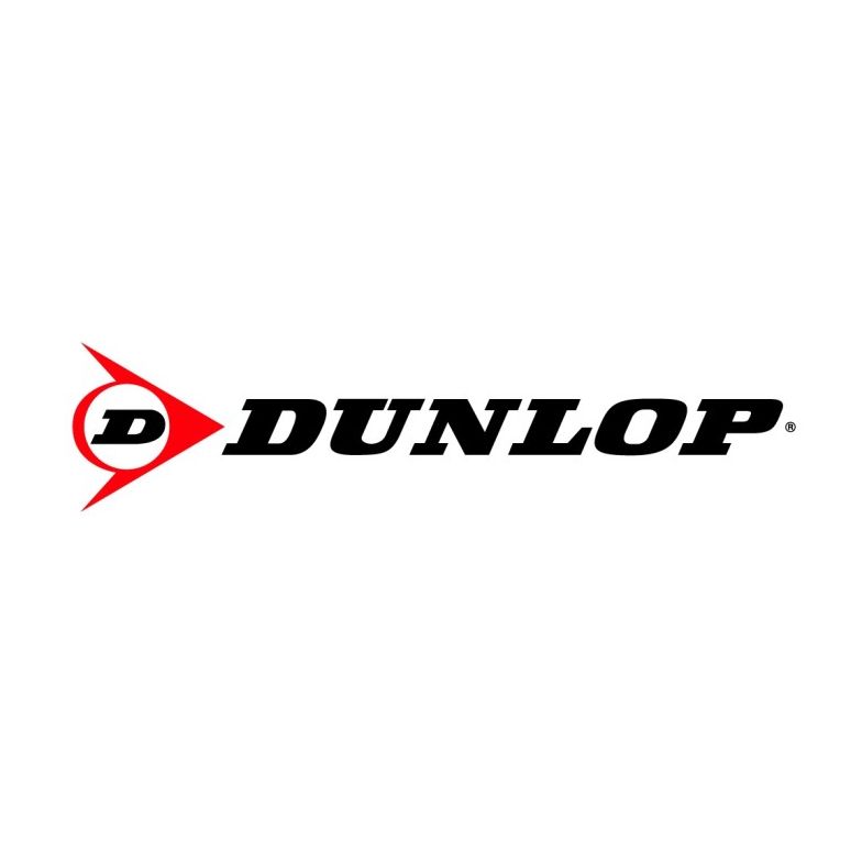 Pneu Dunlop Aro 19 215/35R19 Direzza DZ-101 85W