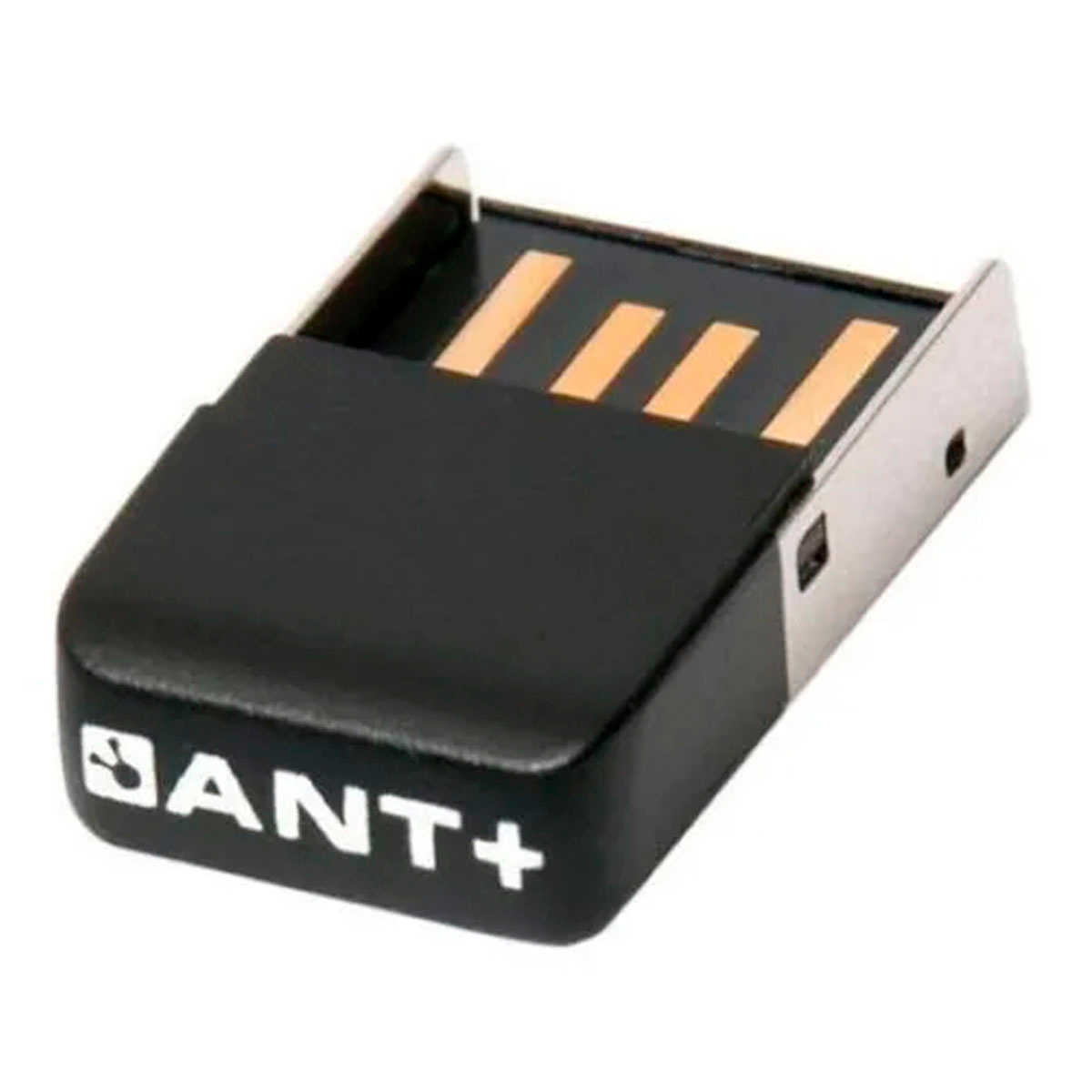 Receptor Dongle USB Elite Ant+