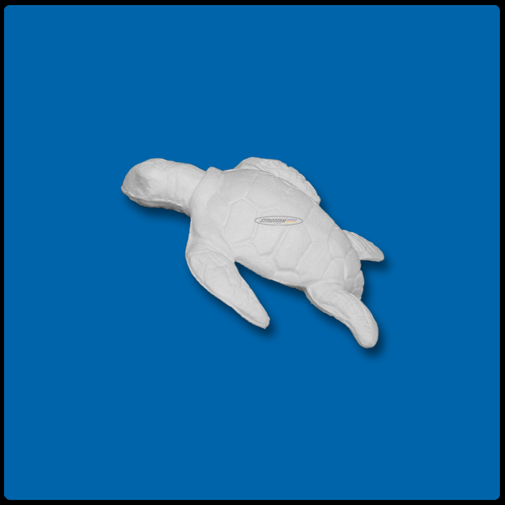 Tartaruga Marinha