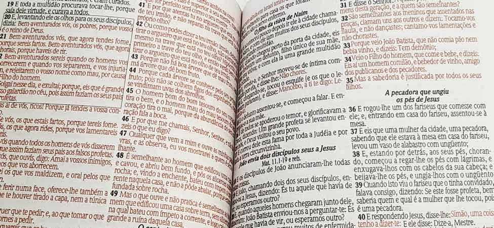 Bíblia Sagrada - Tamanho Grande -  Harpa Cristã - Palavras de Jesus em Vermelho - Econômica - Edição Promessas - Versão Almeida - Capa Luxo - Pink Folhas