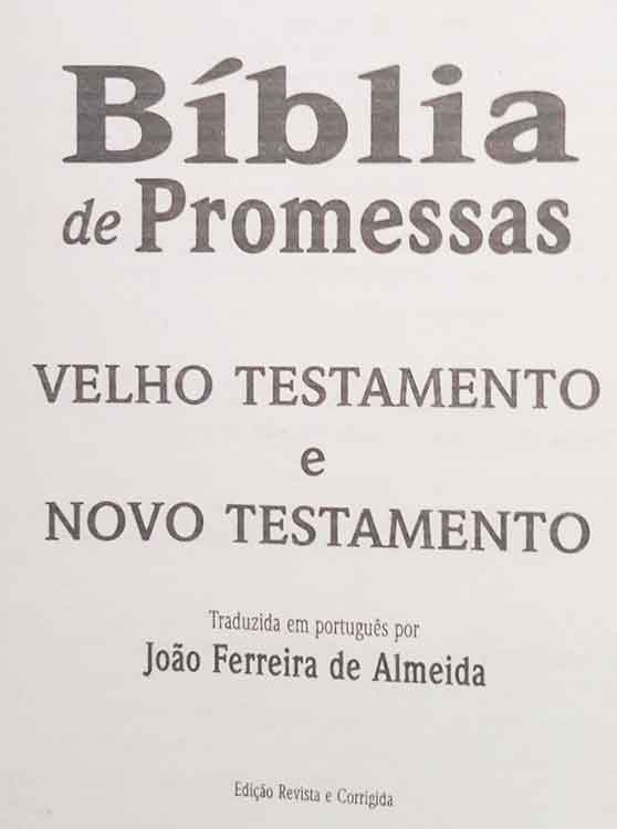 Bíblia Sagrada - Tamanho Grande -  Harpa Cristã - Palavras de Jesus em Vermelho - Econômica - Edição Promessas - Versão Almeida - Capa Luxo - Pink Folhas