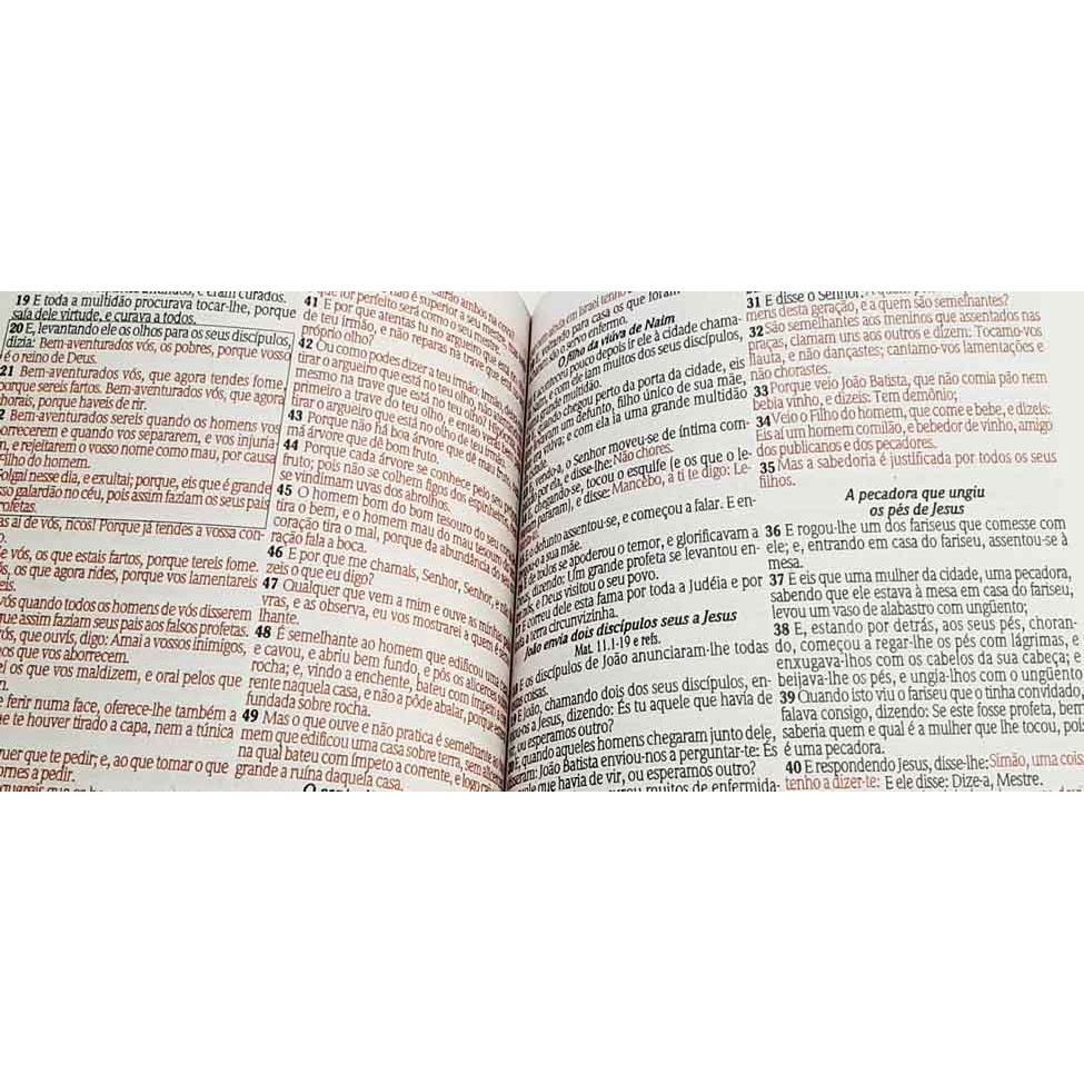 Bíblia Sagrada - Tamanho Grande -  Harpa Cristã - Palavras de Jesus em Vermelho - Econômica - Edição Promessas - Versão Almeida - Capa Luxo - Floral e Pink