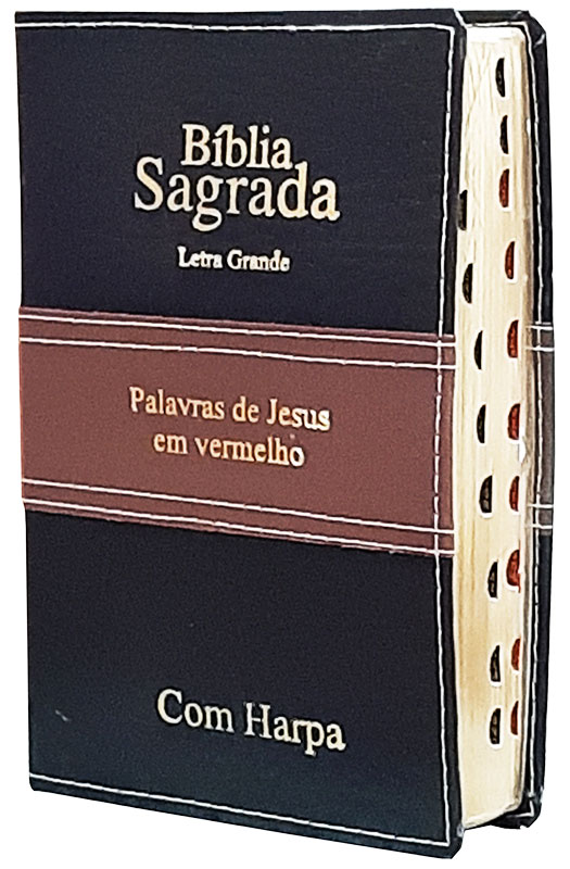Bíblia Sagrada - Tamanho Grande -  Harpa Cristã - As Palavras de Jesus em Vermelho - Edição Promessas - Versão Almeida - Capa Luxo - Duotone