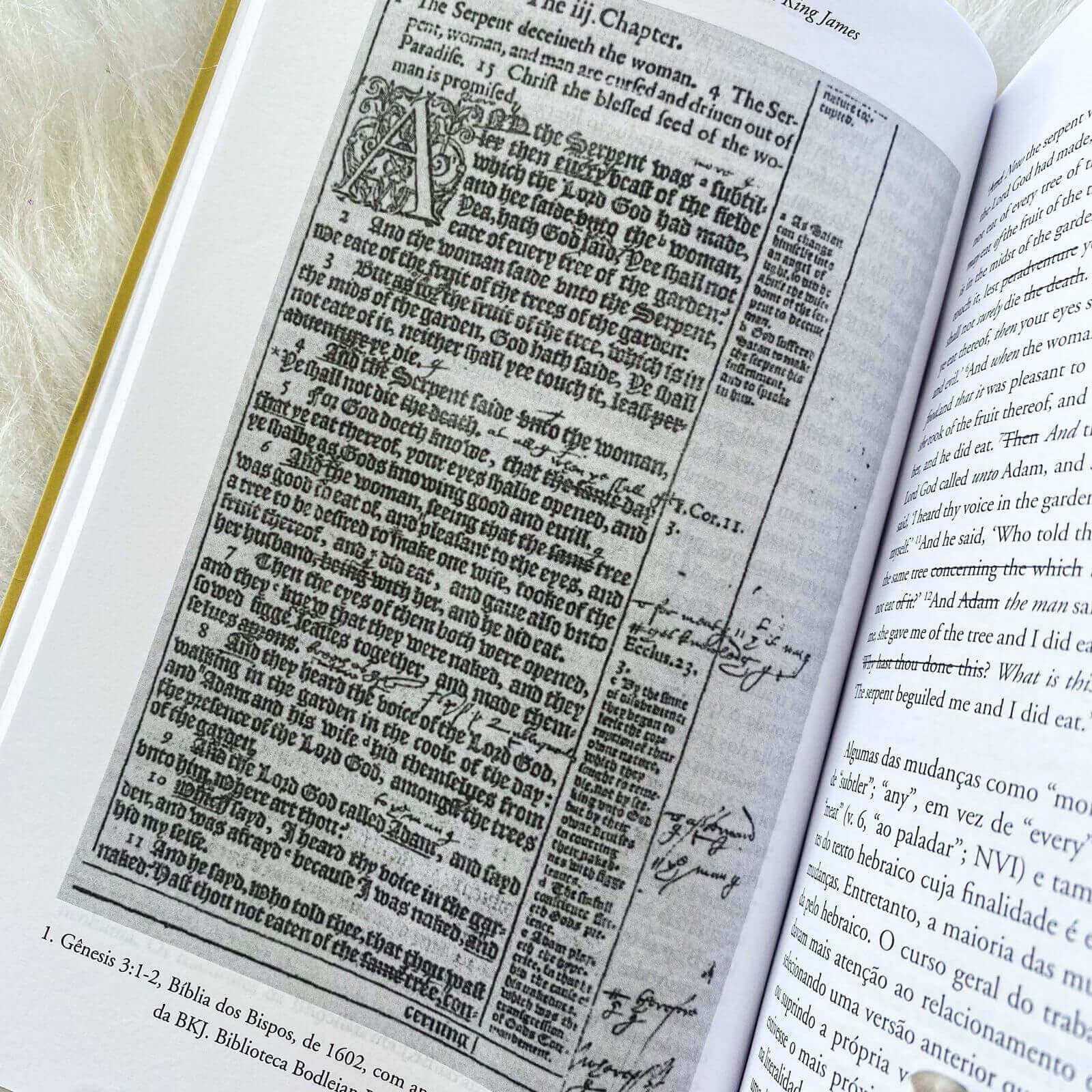 A Bíblia King James - Uma breve história de Tyndale até hoje David Norton
