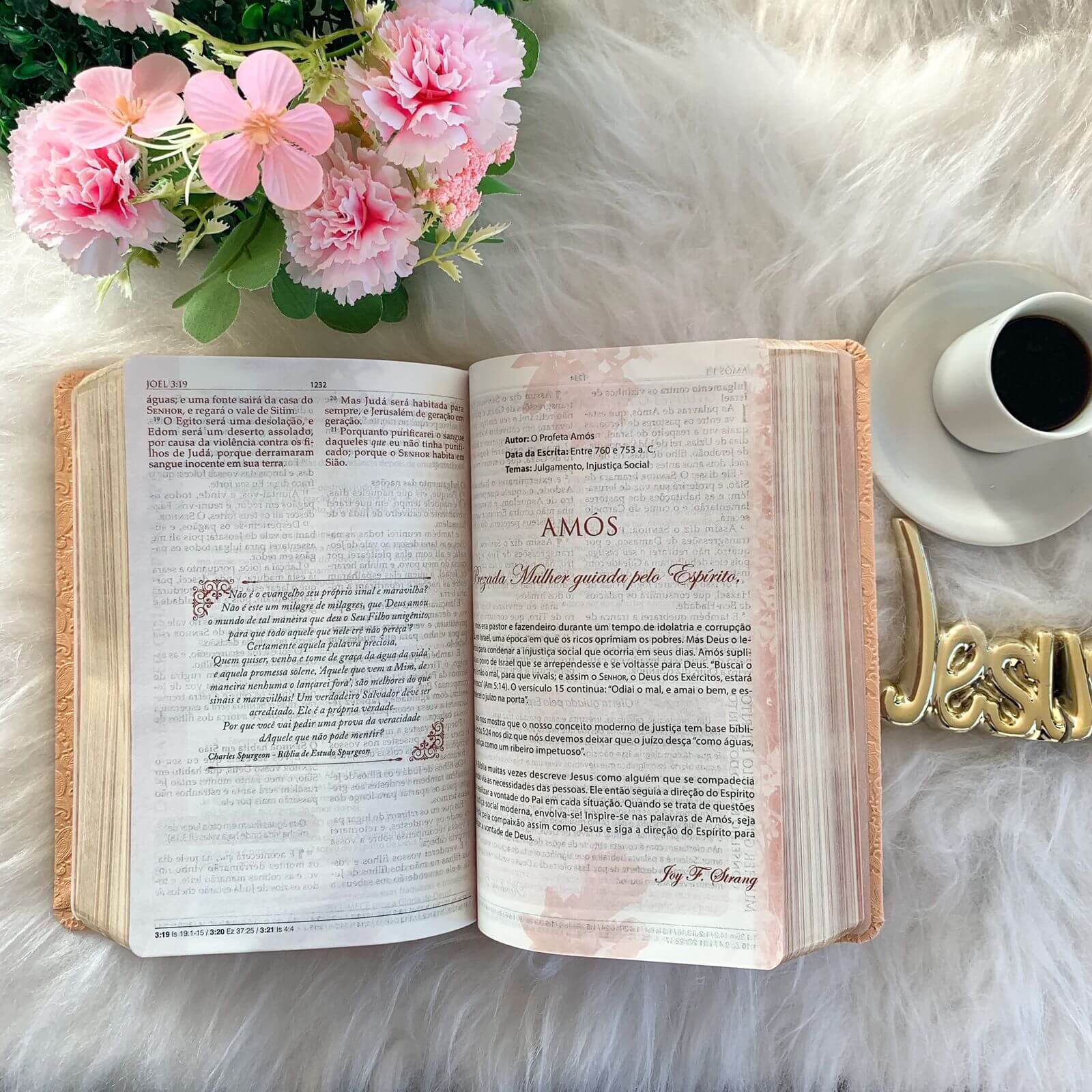 Bíblia de Estudo para Mulheres - Capa Rose Peach Letra Marrom - BKJ1611