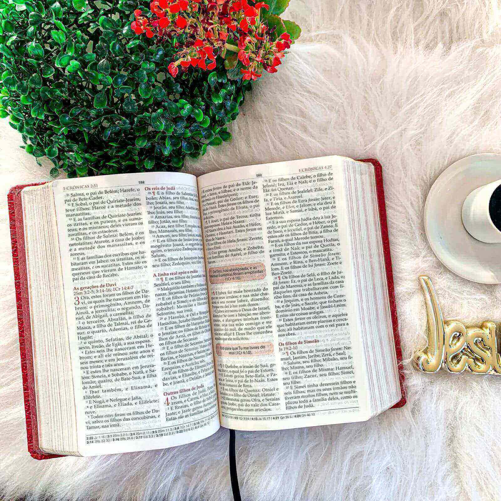 Bíblia de Estudo para Mulheres - Capa Vermelha - BKJ1611