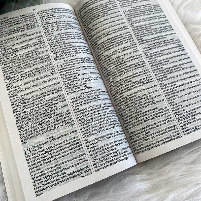 kit Reconhecido - Biblia do evangelismo capa Leão