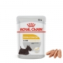 Sachê Ração Royal Canin Dermacomfort Alimento Úmido 85G