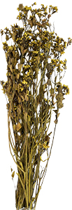 Buquê de Flores Secas Flor de Chuvisco Amarela  - Loja Bellaria