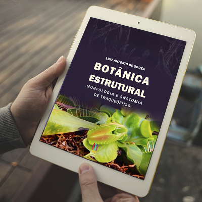 Botânica estrutural: morfologia e anatomia de traqueófitas <br /><br />R$ 79,90 - Editora UEPG