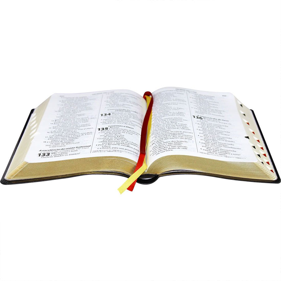 Bíblia Letra Gigante ARA com índice - Azul