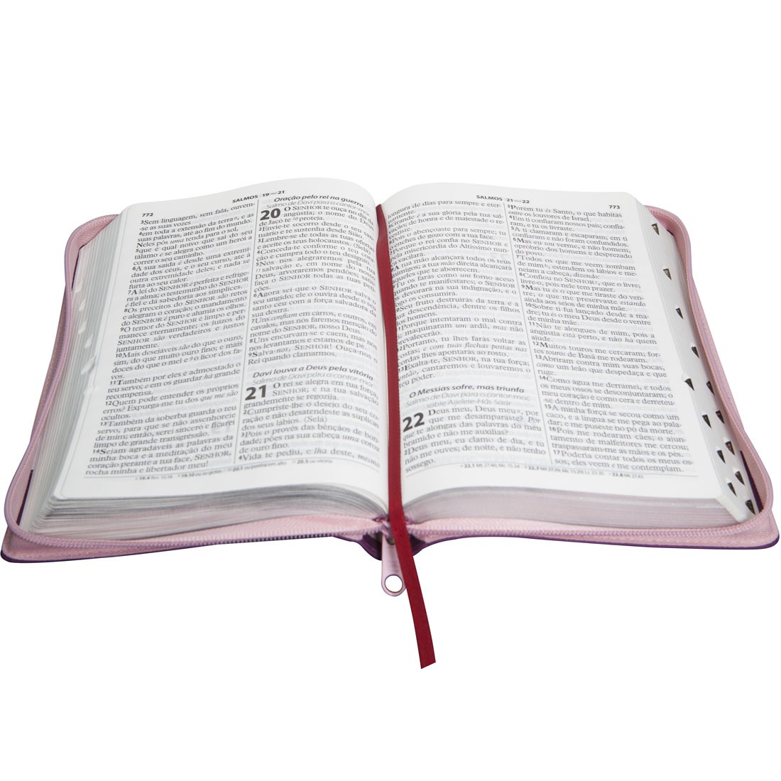 Bíblia Sagrada Letra Gigante - Com Zíper