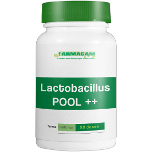 Lactobacillus POOL++