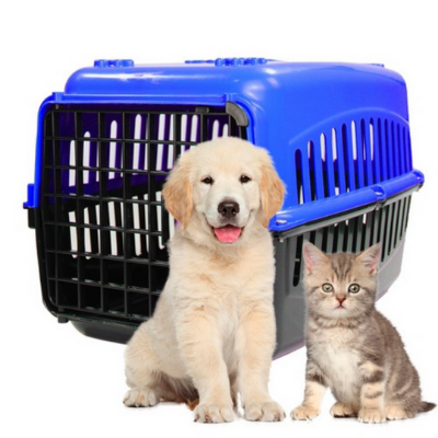 Caixa de Transporte N1 Alça Porta Cão, Gato, Coelho, Tampo Azul com Porta Preta - Porte Pequeno