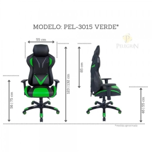 Cadeira Gamer Pelegrin em Couro PU Reclinável PEL-3015 Preta e Verde