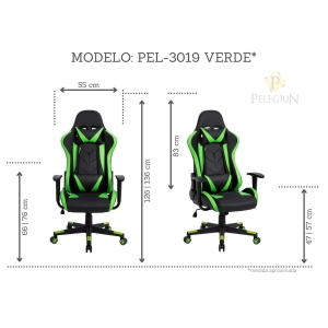 Cadeira Gamer Pelegrin em Couro PU Reclinável PEL-3019 Preta e Verde