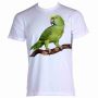 Camiseta papagaio