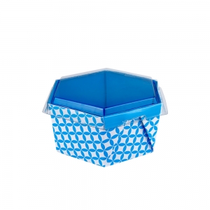 Bowl em Papel Branco Cx c/20 unids 1000ml c/ Tampa Plástica Transparente Arte Azul Especial - Sextavado -Montado