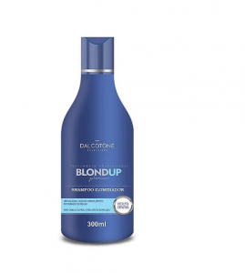 Shampoo Iluminador Blond Up Premium 300ml