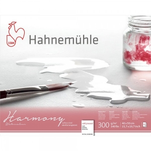 Bloco Harmony Watercolour 40x50cm Cold Pressed 300g/m 12 Fls Hahnemuhle 10628046
