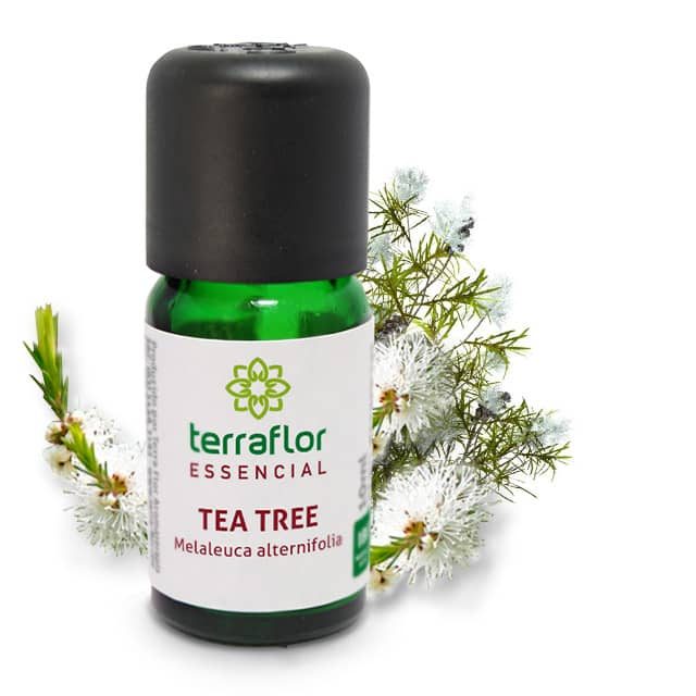 Óleo Essencial de Tea Tree Melaleuca Terra Flor 10ml  - Mercanatu - Produtos Veganos e Naturais