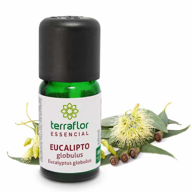 Óleo Essencial de Eucalipto Globulus Terra Flor 10ml  - Mercanatu - Produtos Veganos e Naturais