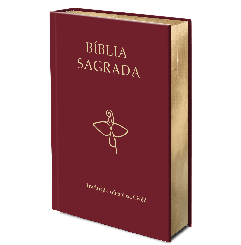 Bíblia Sagrada ? Tradução Oficial da CNBB - 3ª Edição - Semiluxo