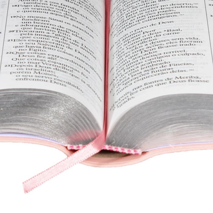 Bíblia Sagrada Nova Tradução  na Linguagem de Hoje Letra Gigante